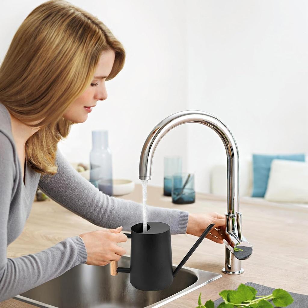Annaffiatoio Mini da Interno da 1L per Piante da Casa, Annaffiatoio Sprinkler in Acciaio Inossidabile per Bonsai, Vaso Piccolo da Interno ed Esterno con Beccuccio Lungo per Annaffiare Fiori per la Casa