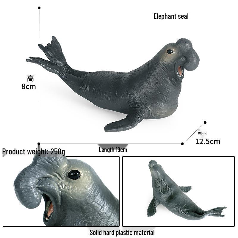 Pediatric Science Education Marine Wildlife Model - Large Walrus and Seal Toys