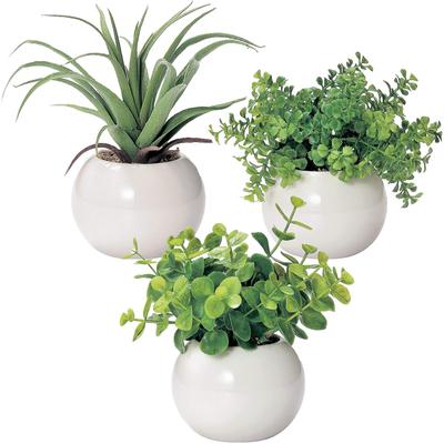 Miniature Interior Greenery - Artificial Plants (Eucalyptus, Air Plants, and Fan-Shaped Greenery) - 3-Piece Set