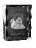 Romagna Water Dog – Crystal with a picture of a dog, glass statuette with a picture | Art-Dog