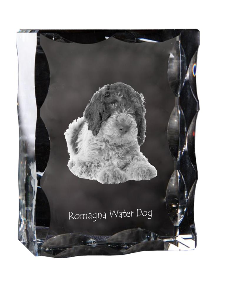 Romagna Water Dog – Crystal with a picture of a dog, glass statuette with a picture | Art-Dog