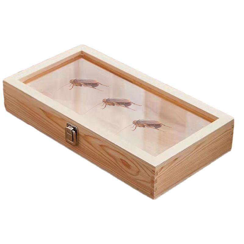 Specimen Box Wood Butterfly Frame Case Earrings Rings Necklaces Organizer Holder Display Case Specimen Showcase With Lid For france