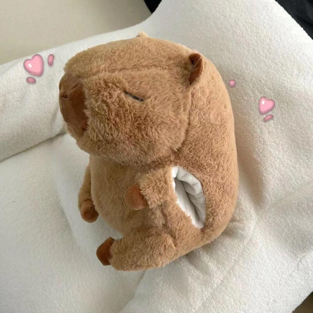 Warmer Winter Hand Pillow Capybara Plush Toy Cute Cartoon Girl Gift Birthday