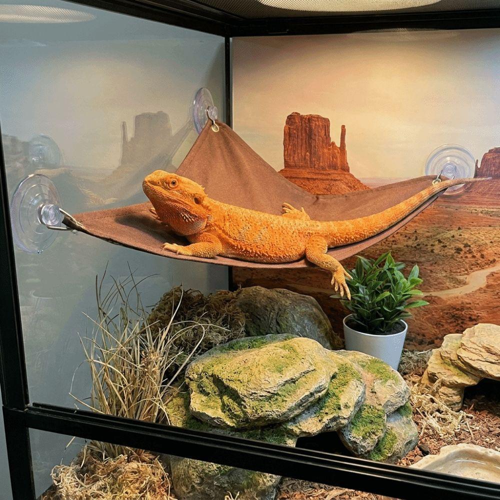Breathable Reptile Climbing Toys Lightweight Geckos Habitat Reptile Bed Swing  Habitat Decor