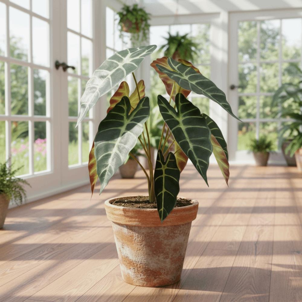 Realistic Artificial Peacock Leaf Plant Lifelike Decorative Plant Fake Green Plant  Home Decor