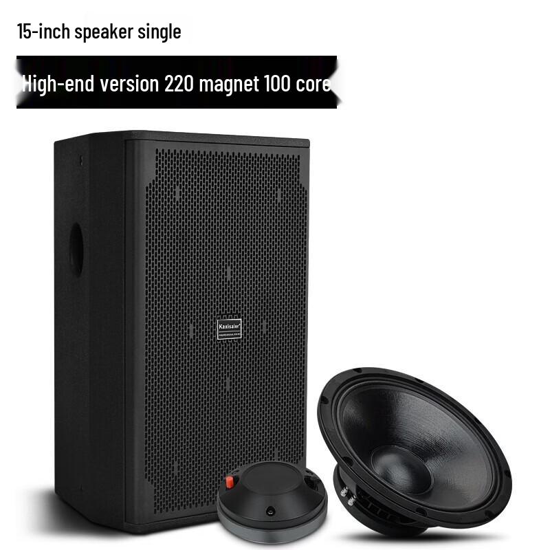 KAXISAIER Professional Full-Range Passive Speaker CN plug (adapter included)