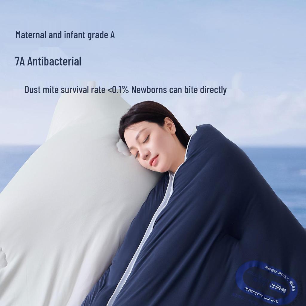 Soybean Fiber Temperature-Control Quilt: All-Season Warmth, Machine Washable, for Spring, Autumn, and Winter in Single or Double Sizes