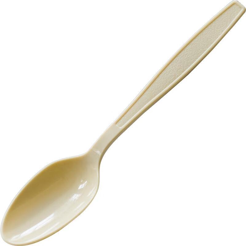 JingJingRS Disposable Thickened Frosted Spoons