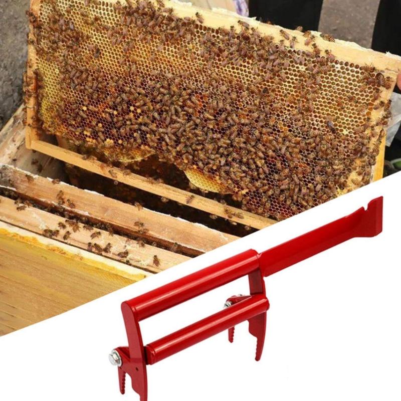 Durability Stainless Steel Bees Hives Tool with Scraper and Colored Handle for Easy Identification and Comfortable Grip