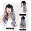 TefuRe Fujitatsu Long Wave Wig Natural Gradient Wide Variety of Colors Cosplay Wig Net Included x Silver [TefuRe] C-8256 (Black Ash)