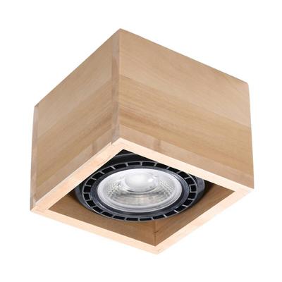 LED Lighting – LED Downlights