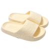 Cold Slippers, Women's Shoes, Couple's Slippers, Thick Soled, Anti Slip, Outdoor, Men's Slippers