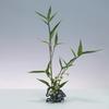 Japanese Ikebana Kenzan Flower Pot Base Holder Frog Flexible Deformable Tea Ceremony Chinese Floral Art Fixed Arranging Tool