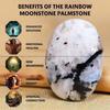 Crystal Divine Moonstone Palm Stone Crystal Showpieces for Home Decor Items & Decorative Items for Office Desk Table Meditation Items Chakra Healing