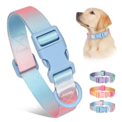 Hunde – Hundehalsbänder & Leinen