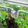 12Pieces Transparent Wall Mount Planter Cup Water Plant Holder For Fishtanks Greenery And Aquascaping Scene Decors