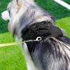 Dog Vest Adjustable Training Harness for Large Medium Dogs Backpack Strong Heavy Duty Harness Soft Handle