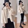 New Lantern Sleeve Fur Coat Women's Medium and Long Winter Imitation Mink Plush Coat Light