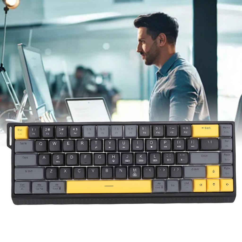 Wired Computer Keyboard Quiet Anti Ghosting RGB Backlit Slim 68 Keys Keyboard Scissor for Work Gaming