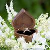 Vintage Wood Box Versatile Wedding Rings Box Charming Jewelry Presentation Box Wood Material Rings Accessories for Rings
