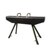 Gymnastics Vaulting and Springboard Equipment