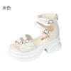 Black fashion Roman open-toed sandals women's spring 2025 new retro student outer wear Korean version of versatile thick sole