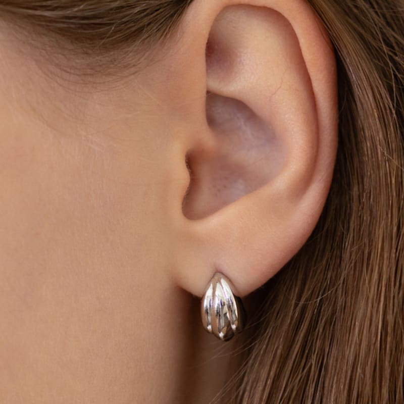 Tatiana Bold Curve Shell Earrings EC3250