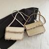 Fashionable Woven Textured Lace And Tassel Decoration Women Casual Shoulder Bag For Daily Use And Vacation
