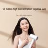 Xiaomi H101 Negative Ion Hair Dryer CN Plug (adapter Included)
