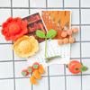 Fruit Accessory Doll Hairpin Hairpin Clip Pin