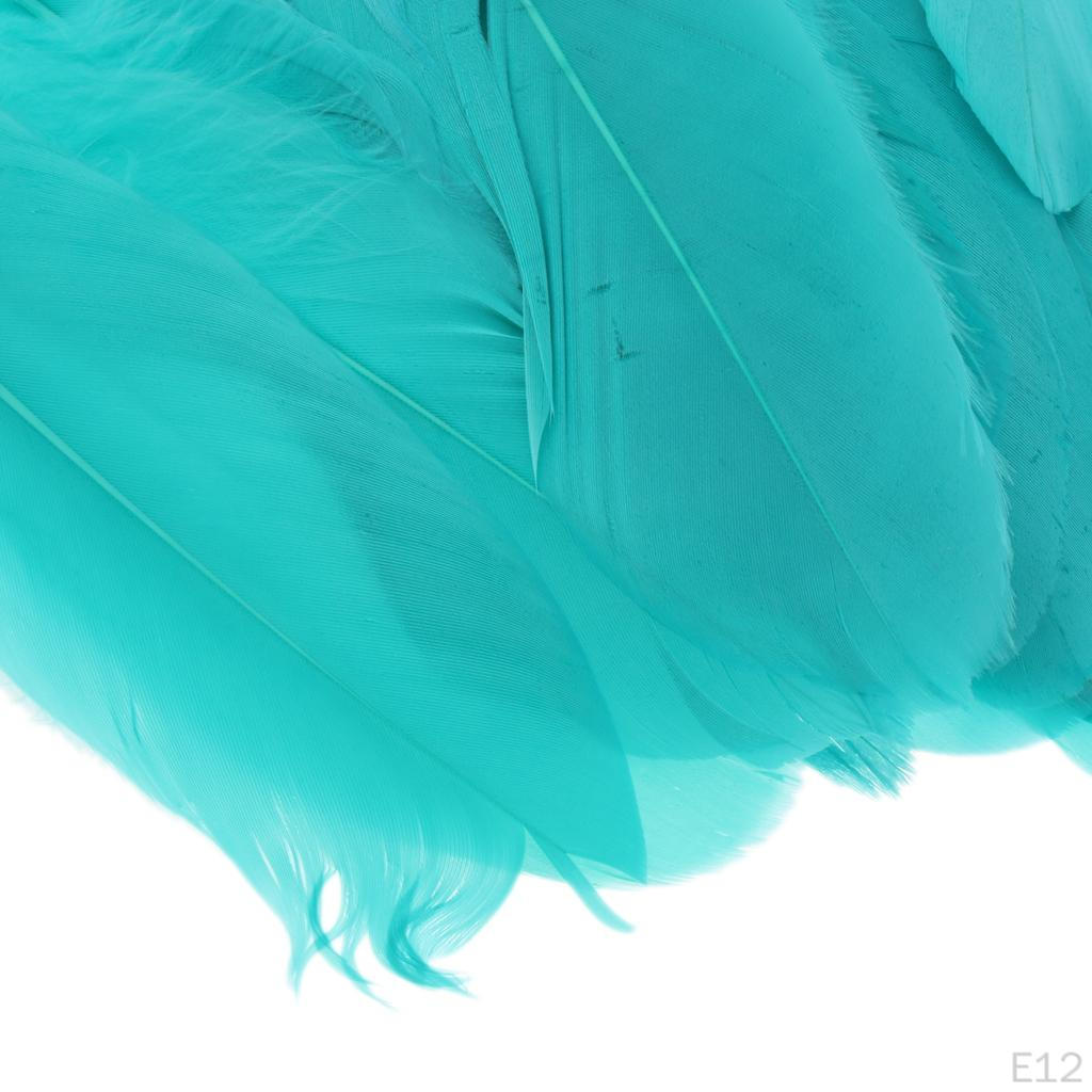 Federn 0,6 Zoll Bastelbedarf für Hochzeitsfeier Dekoration Packung mit 50 Stück