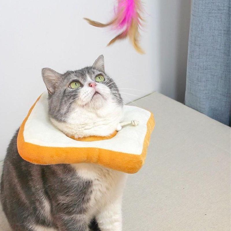 Adjustable Toast Bread Elizabethan Collar For Cats And Dogs, Cute Cartoon Design