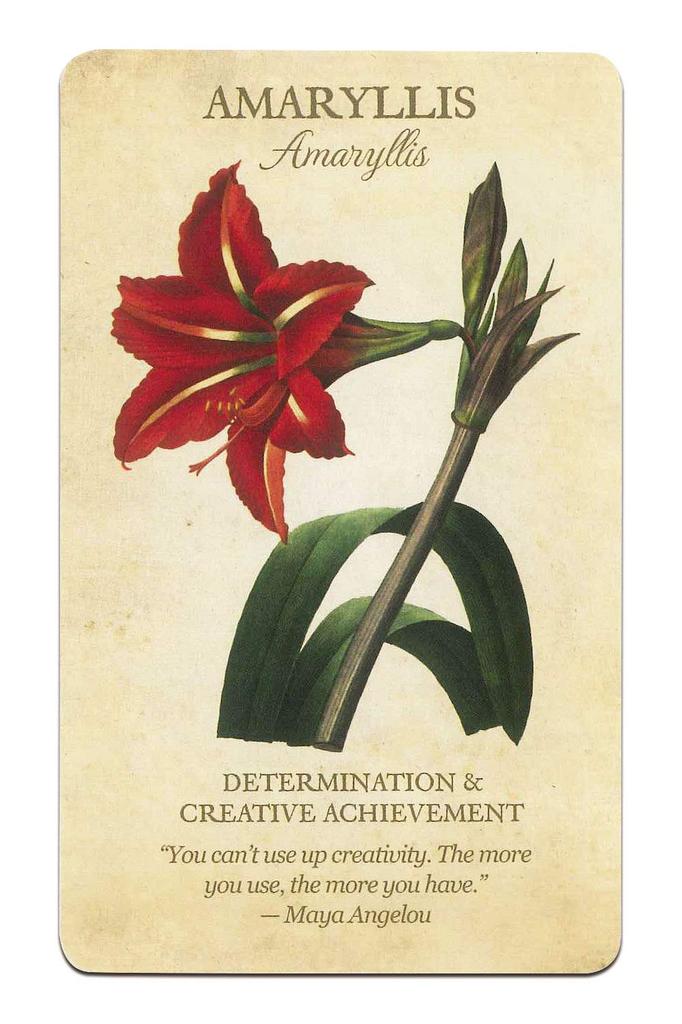 Nichiyu 44-Piece Oracle Card Set for Fortune Telling [Officially Imported] [Botanical Inspiration Set] Beautiful Floral Oracle Cards