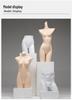 Underwear Display Mannequin: Half-Body Model for Bra and Panty Showcases