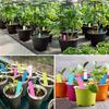 600pack Colorful Garden Sign with Spiked Bottom Plastic Waterproof Hanging Label for Secure Placement in Soil or Pots