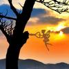 1pc Angel On Branch Steel Silhouette - Add a Touch of Angelic Beauty To Your Home, with This Stunning Metal Wall Art