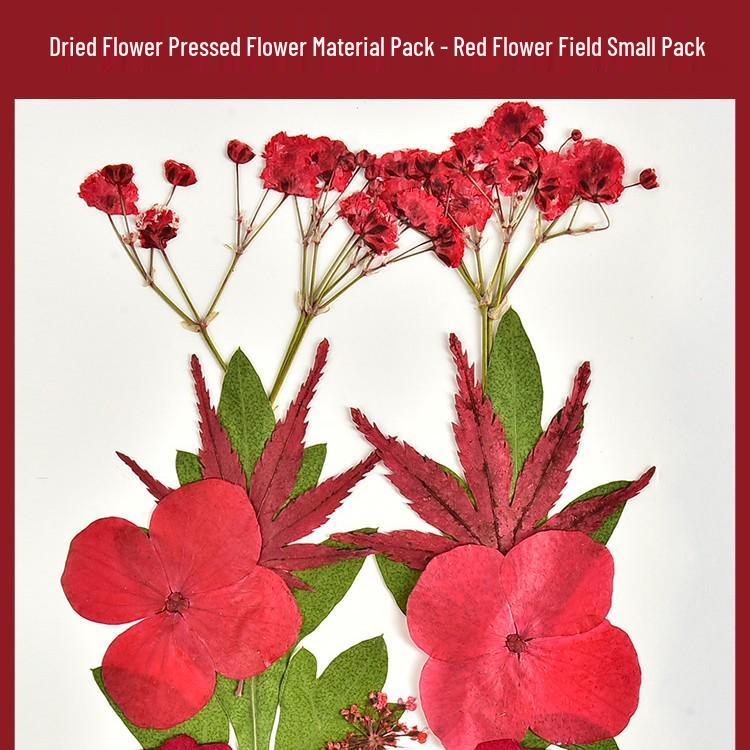 Autumn Dried Flower Bookmark Kit: Transparent Leaf Specimen with Lamination Film Stickers