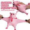 Cute Squishy Pig Stress Relief Pig Squeeze Toys to Anxiety, Funny Stretch Animal Splat Toys for Autism & ADHD Decompression Toy