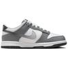 Nike Dunk Low Cool Grey (GS) Kids Sneakers Summit-White White Light-Smoke-Grey HM9617-001