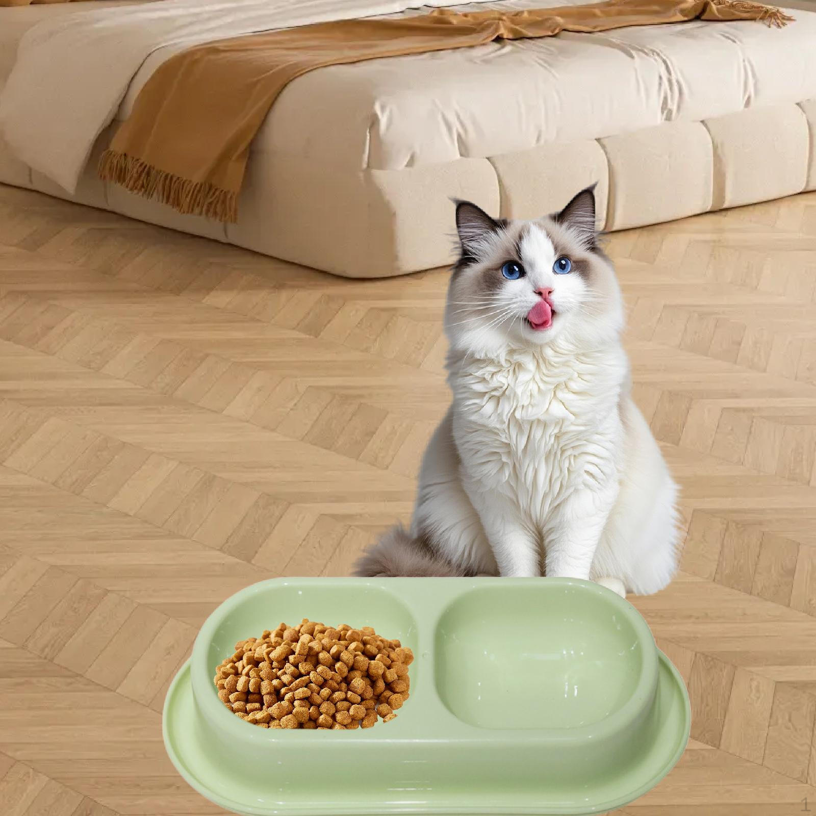 

Cat Water and Food Bowl Feeder Feeding Dish Drinking Household Easy to Clean Indoor Dispenser світло-зелений колір