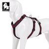 Truelove Double H Harness Neoprene Padding Durable Strong Reflective Gow In the Dark Aluminum Alloy Fitting Light Weight TLH6571