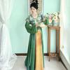 Chinese Tang Dynasty Style Hanfu Women's Tang Beizi Crew Neck Shirt Daily Waist-length One-piece Skirt