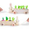 Wooden Rabbit And Carrot Play Set For Kids Encouraging Interactive Learning And Parent Child Bonding