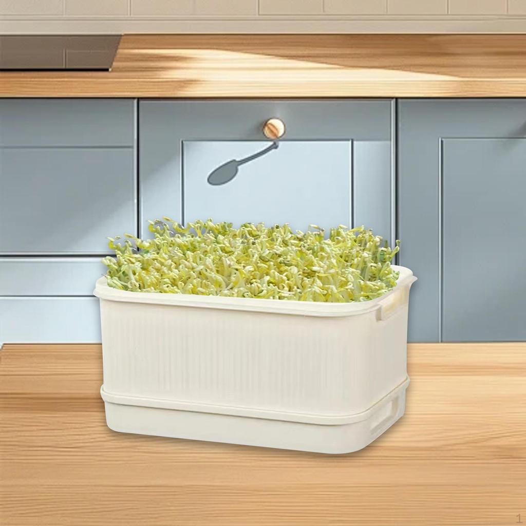 Sprouts Tray Growing Kit with Drain Holes Grower Storage Trays Sprouting Container Germination