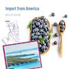 Wo Long Daily Dried Blueberries