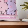 Cartoon A-Asamimichan Cute cushion cover Pillow Sofa Printing Decoration Room Home Office Coffee Shop Car Nordic Simplicity