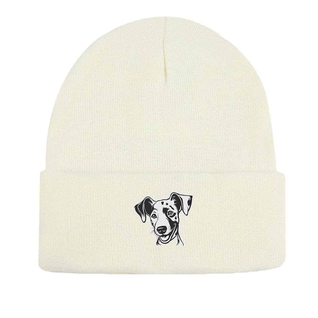 Dog Picture Print Knit Cap Beanie, Animal Woman Cap Windproof Fit Hip Hop Bobble Hat Knitted Hat Beanie