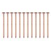 12 Stück Baumkiller-Nägel 4-Zoll-Kupfernägel zum Töten von Bäumen, Baumstumpfwurzel, Stumpfentfernungs-Spikes, Hardware, Gartenhandwerkzeuge