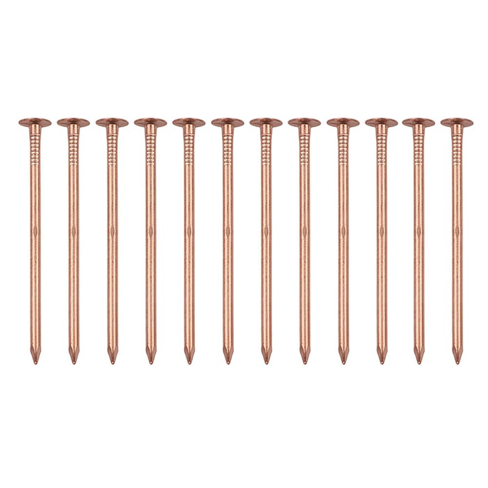 12 Stück Baumkiller-Nägel 4-Zoll-Kupfernägel zum Töten von Bäumen, Baumstumpfwurzel, Stumpfentfernungs-Spikes, Hardware, Gartenhandwerkzeuge