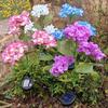 Waterproof Solar Hydrangea Garden Light - Outdoor Decorative Lawn Lamp